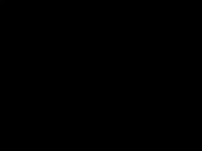 庞博